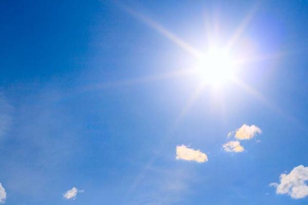 4 مواد غذایی که مانع آسیب های نور خورشید می گردد